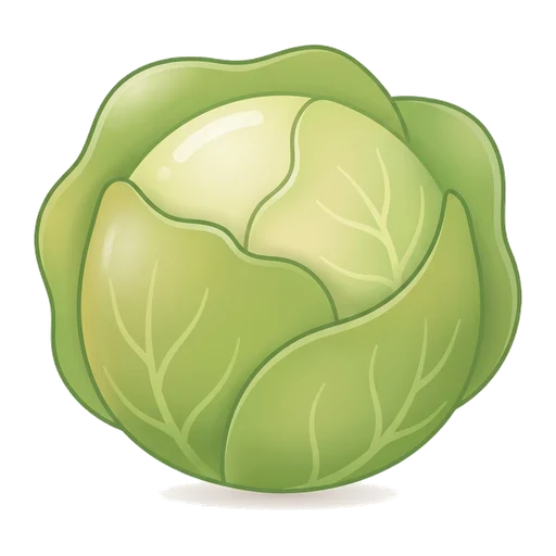 cabbage