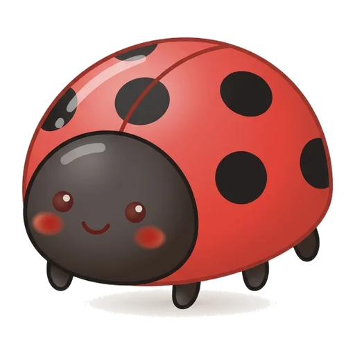 ladybird