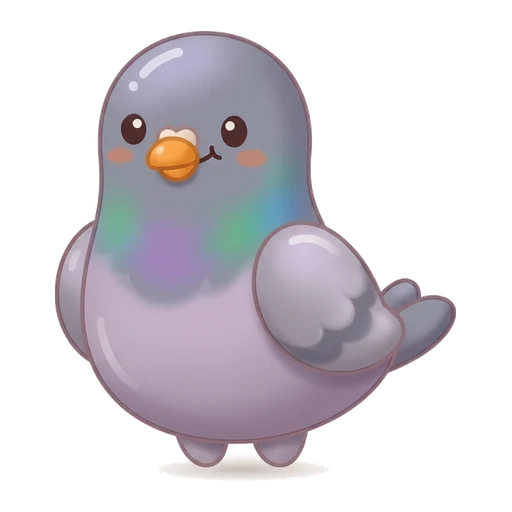pigeon